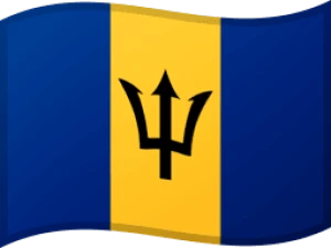 Unlock Barbados carriers/networks