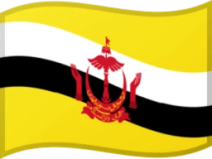 Unlock Brunei Darussalam carriers/networks