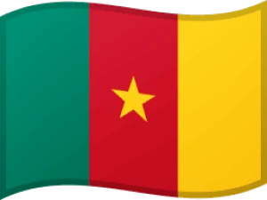 Unlock Cameroon carriers/networks
