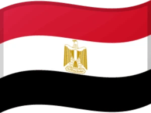 Unlock Egypt carriers/networks