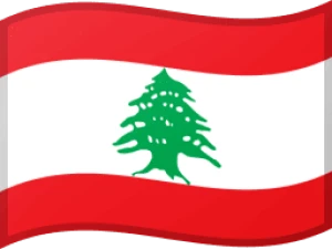 Unlock Lebanon carriers/networks