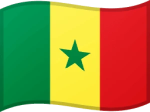 Unlock Senegal carriers/networks