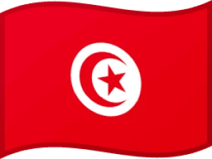 Unlock Tunisia carriers/networks