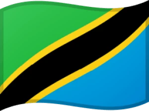 Unlock Tanzania carriers/networks