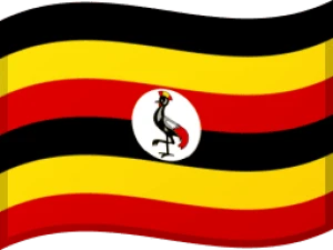 Unlock Uganda carriers/networks